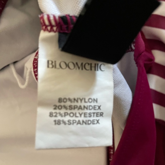 BloomChic Burgundy and White Striped Swim Dress - Picture 2 of 9